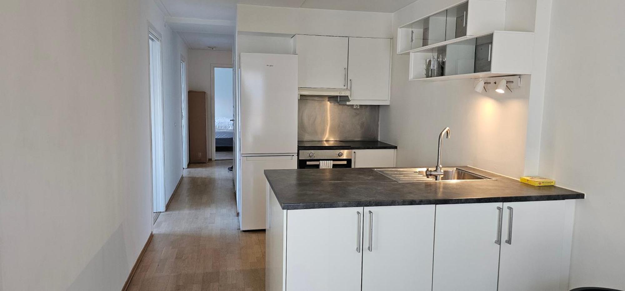 Central 4 Bedrooom Apartment Осло Екстер'єр фото